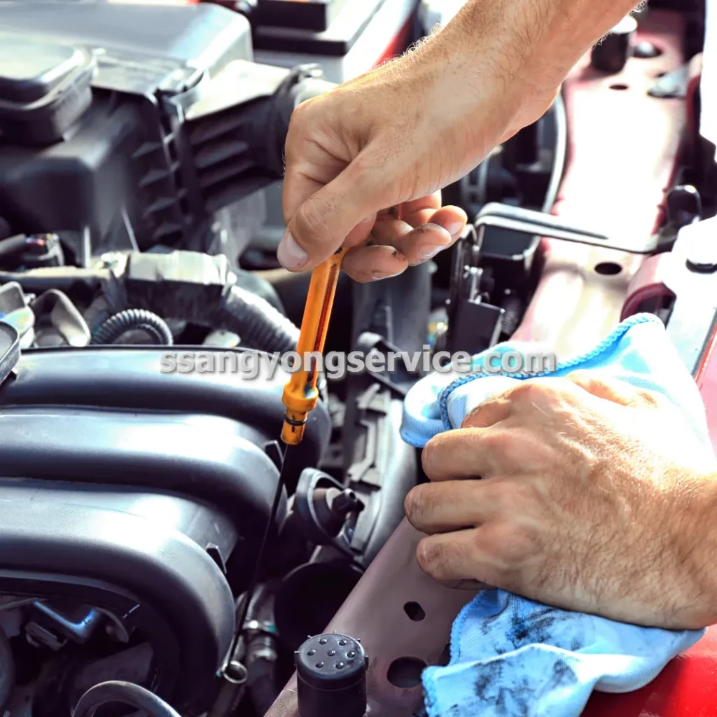 تهیه لوازم خودروهای سانگ یانگ فیلترها و روغن ها در مشهد